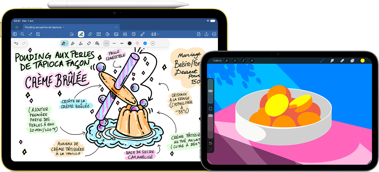 À gauche, iPad dixième génération, orientation paysage. L’écran affiche un graphisme comprenant des notes et un dessin. Un Apple Pencil USB-C est fixé au dessus de l’appareil. À droite, iPad mini, orientation paysage. L’écran affiche une illustration colorée faite dans Procreate.