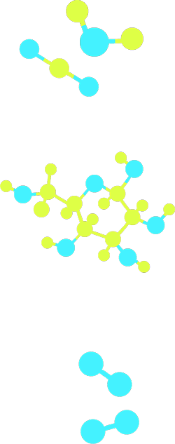 Cinque modelli molecolari, tre rappresentano rispettivamente l’anidride carbonica, l’acqua e il glucosio e due l’ossigeno.
