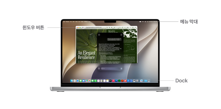 메뉴 막대, 윈도우 버튼, Dock의 위치를 나타내는 선이 표시된 MacBook Pro 14의 macOS 탐색 가이드.