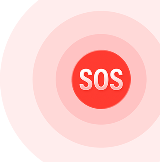 Emergency SOS icon